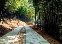 上海东佘山园天气 上海东佘山园天气