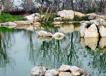 宝山吴淞口炮台湾湿地森林公园天气 宝山吴淞口炮台湾湿地森林公园天气