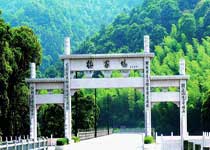 杭州梅家坞天气 杭州梅家坞天气