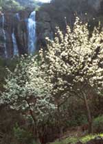 宁波五龙潭风景区天气 宁波五龙潭风景区天气