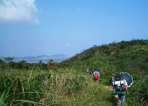 舟山悬山岛天气