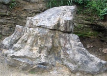 新昌国家地质公园天气 新昌国家地质公园天气