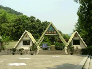 杭州东明山森林公园天气