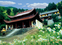 临安东天目山天气 临安东天目山天气