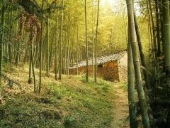 慈溪栲栳山天气 慈溪栲栳山天气