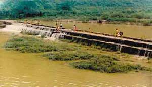 宁波它山堰天气 宁波它山堰天气