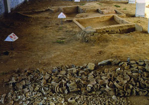 温州护国岭窑址天气 温州护国岭窑址天气