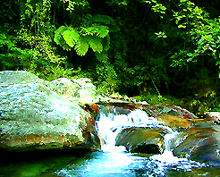 温州石门台天气 温州石门台天气