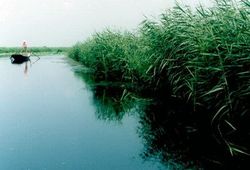 湖州芦花荡天气 湖州芦花荡天气