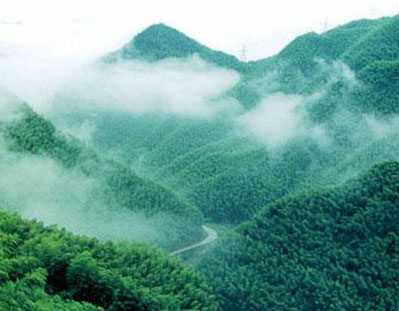 安吉中国大竹海天气 安吉中国大竹海天气