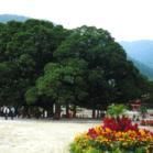 湖州梁希森林公园天气 湖州梁希森林公园天气