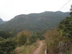 金华白露山天气 金华白露山天气