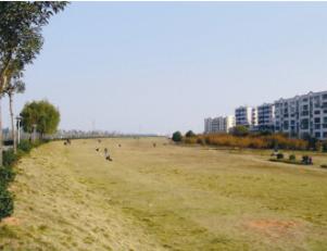 金华樱花公园天气 金华樱花公园天气