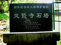 丽水灵鹫寺石塔天气