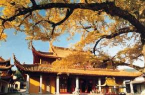 宁波奉化溪口天气 宁波奉化溪口天气