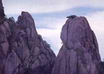 黄山松鼠跳天都天气 黄山松鼠跳天都天气