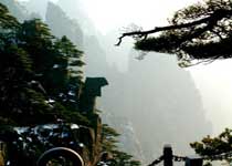 黄山仙女绣花天气 黄山仙女绣花天气