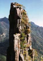 泰安扇子崖天气 泰安扇子崖天气