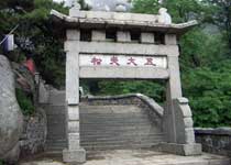 泰山五大夫松天气 泰山五大夫松天气