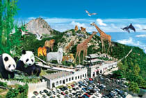 威海神雕山野生动物自然保护区 威海神雕山野生动物自然保护区