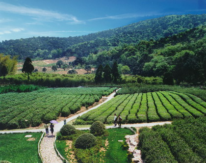 无锡龙寺农业生态园天气 无锡龙寺农业生态园天气