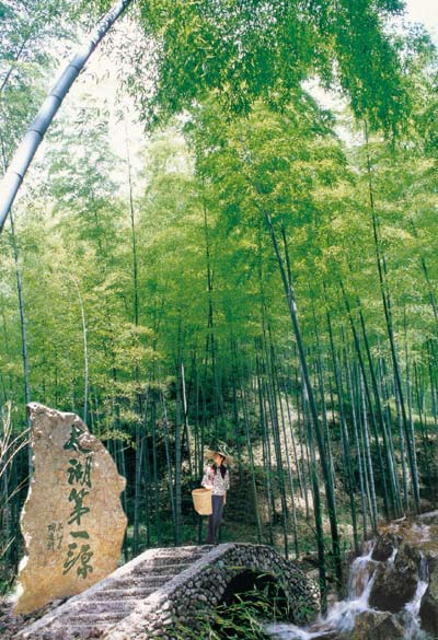 宜兴竹海天气 宜兴竹海天气