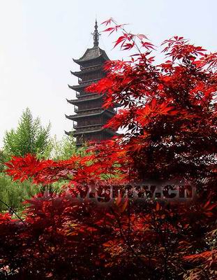 常熟方塔园天气