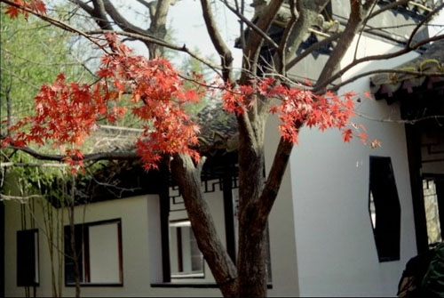 连云港屏竹禅院天气 连云港屏竹禅院天气