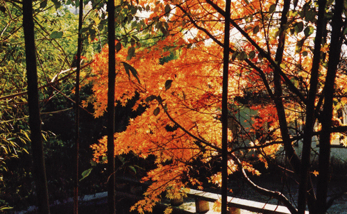 连云港孔望山天气 连云港孔望山天气