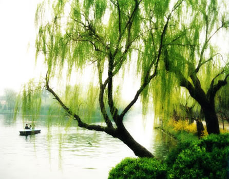 扬州冶春园天气 扬州冶春园天气