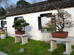 扬州盆景园天气 扬州盆景园天气