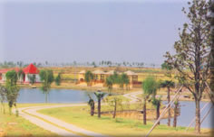 句容南山农庄天气 句容南山农庄天气