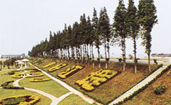 泰州江堤风光带天气 泰州江堤风光带天气