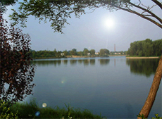 兴化乌巾荡天气 兴化乌巾荡天气