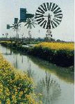 兴化垛田风光带天气 兴化垛田风光带天气