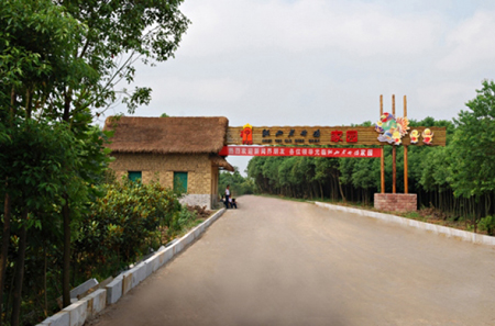 肥西老母鸡生态园天气 肥西老母鸡生态园天气