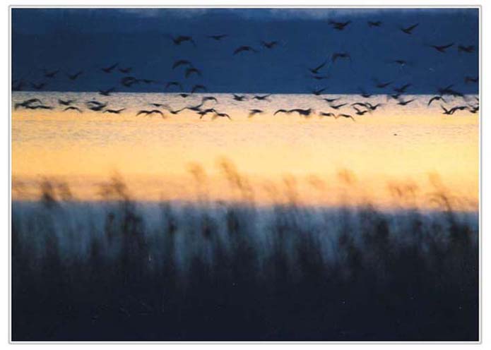 合肥岱山湖天气 合肥岱山湖天气