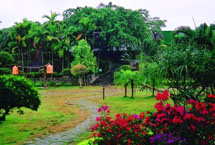 亳州谯东镇药用植物园天气 亳州谯东镇药用植物园天气