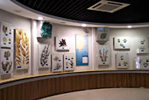 青岛海产博物馆天气 青岛海产博物馆天气