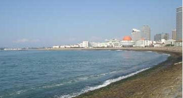 青岛赶海园天气 青岛赶海园天气