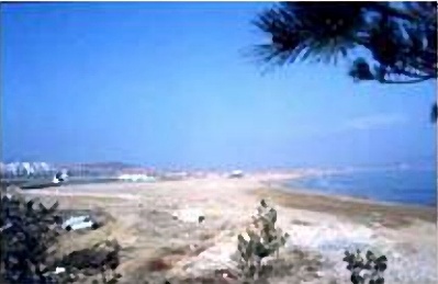 青岛薛家岛天气 青岛薛家岛天气