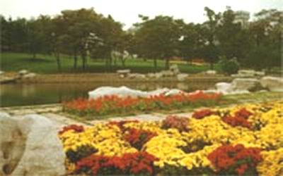 青岛百花苑 青岛百花苑