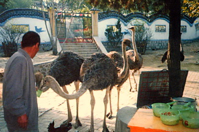 淄博奎盛公园天气 淄博奎盛公园天气