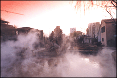 招远金都温泉天气
