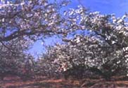 莱阳蚬河公园天气