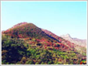 青州仰天山天气 青州仰天山天气