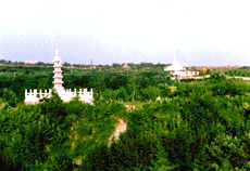 安丘青云山天气 安丘青云山天气