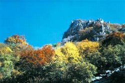 平谷将军关长城天气 平谷将军关长城天气