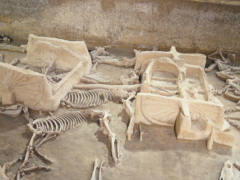 洛阳周王城天子驾六博物馆