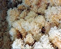 许昌兰花山溶洞天气 许昌兰花山溶洞天气